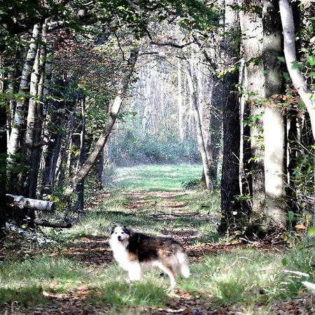 La Farmház Connigis
