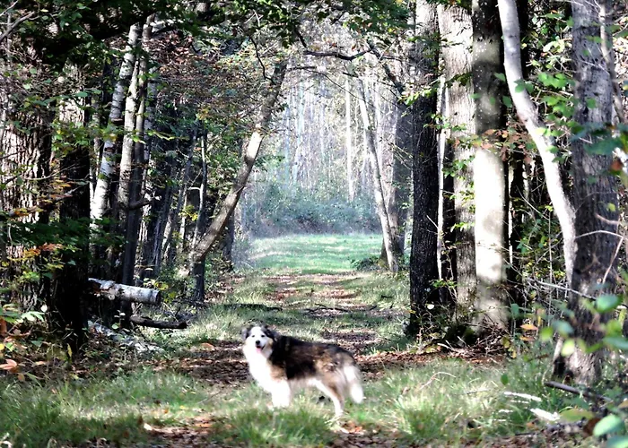 La Bauernhof Connigis